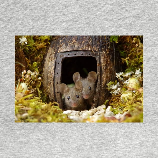 two wild mouse at the  wood pile door by Simon-dell